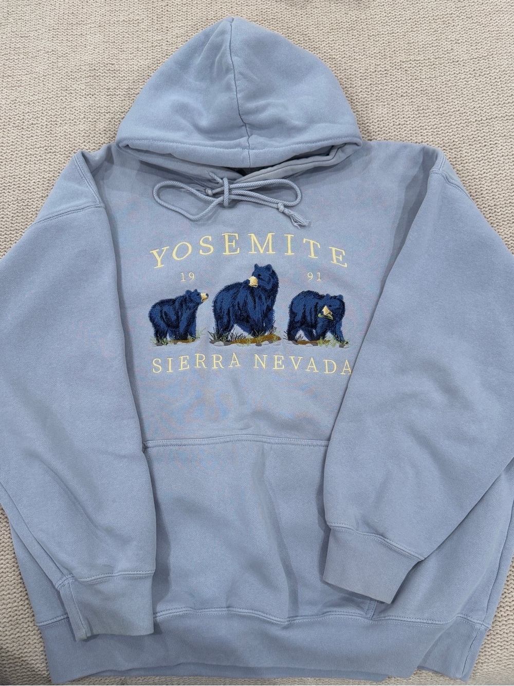 Brandy Melville Light Blue Yosemite Bear Embroidered Hoodie